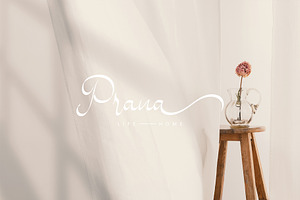 Paulicea - Script Font