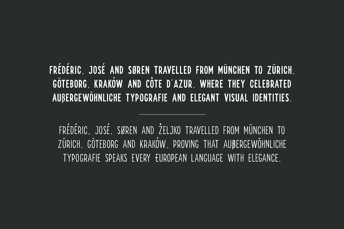 FREIGEL - Unique Display Font Family, a Sans Serif Font by Designova® (Photo 9 of 10)