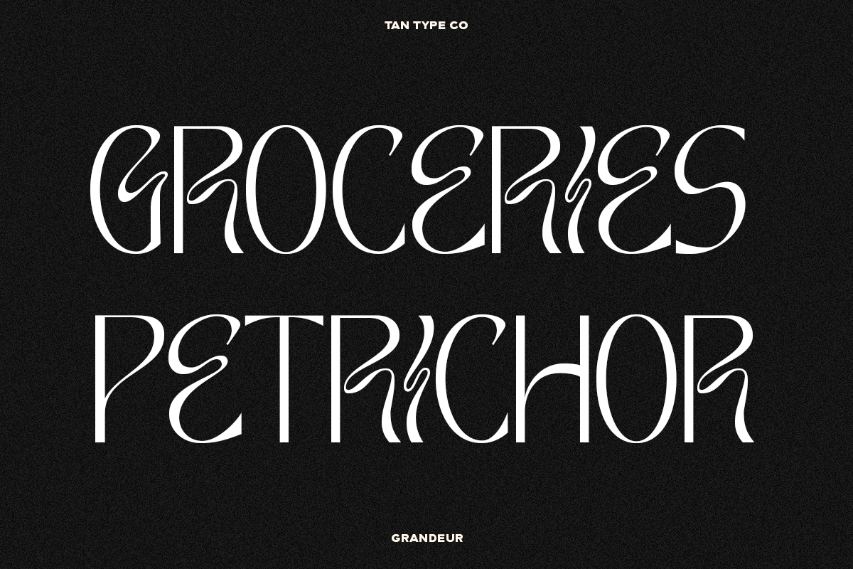 TAN - GRANDEUR, a Sans Serif Font by TanType (Photo 10 of 25)