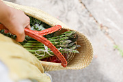 Orange Wellness Bundle, a Health & Medical Photo by Wellness Stock Market (Thumbnail 4 of 20)