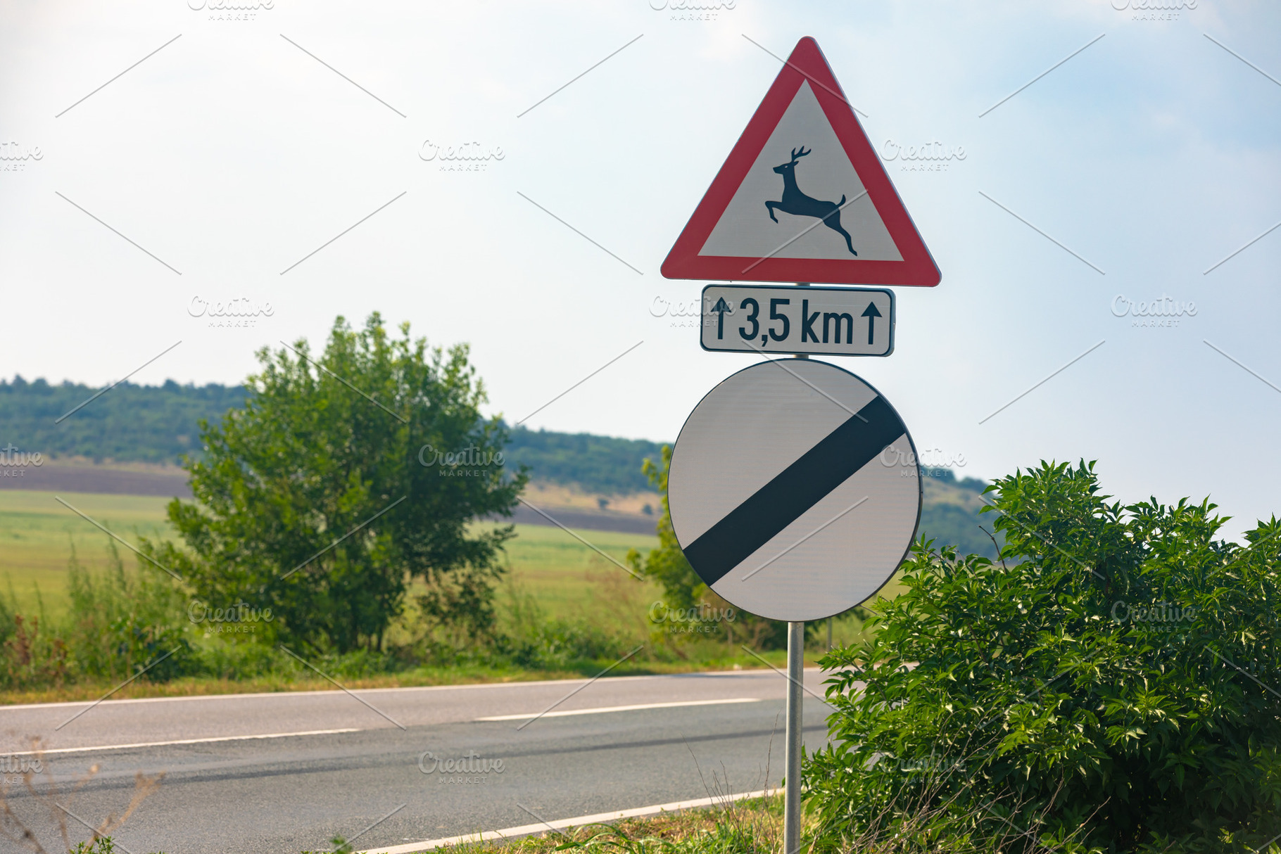 Countryside road featuring a deer crossing warning sign and open landscape in s, a Transportation Photo by Ales Munt
