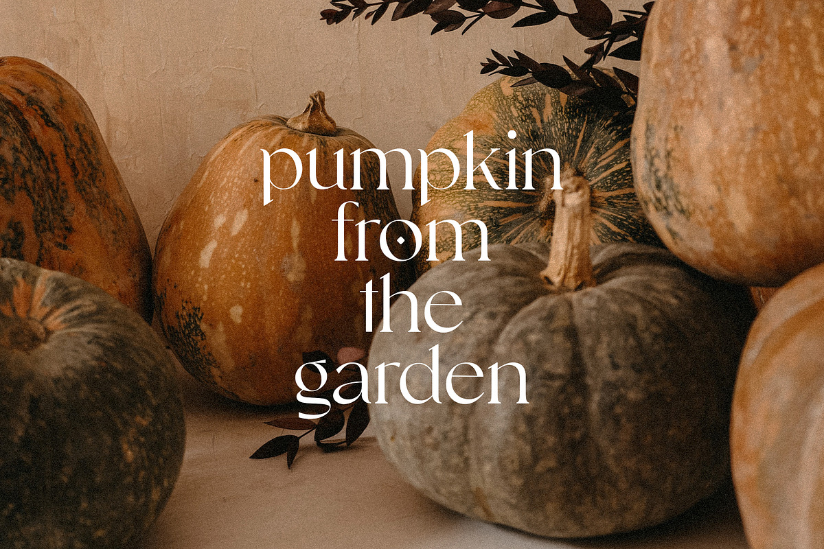 Eleanor Goenka Classic Serif Font, a Serif Font by UICreative (Photo 6 of 13)