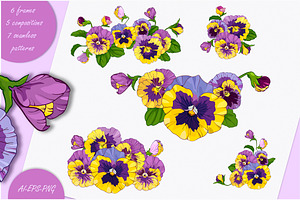 Pansies violets floral collection