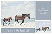 10 Sea PS Actions, an Action Add-On by LovePhotoMoment (Thumbnail 8 of 8)