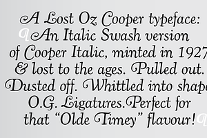 Cooper Italic Complete, a Serif Font by Wordshape