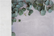 Eucalyptus Floral Mockup Bundle, a Social Media Template by LaPorte Images (Thumbnail 10 of 14)