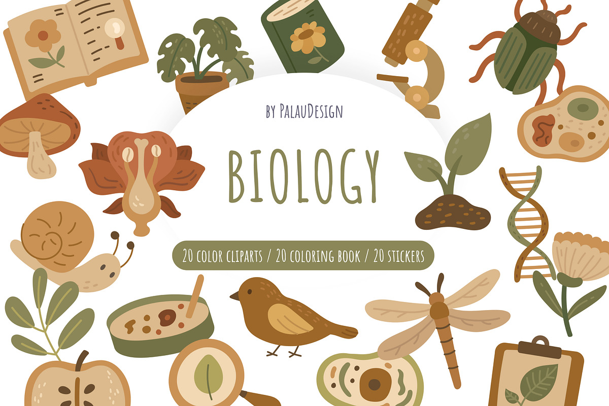 Biology Education Scandinavian Pack, an Education Illustration by Palau (Photo 1 of 10)