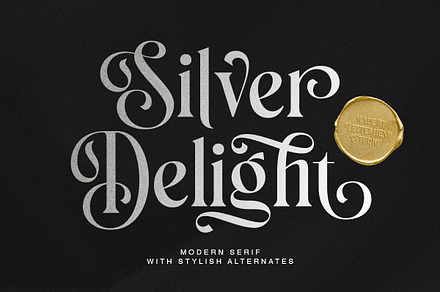 Silver Delight Modern Serif, a Serif Font by Letterhend Studio