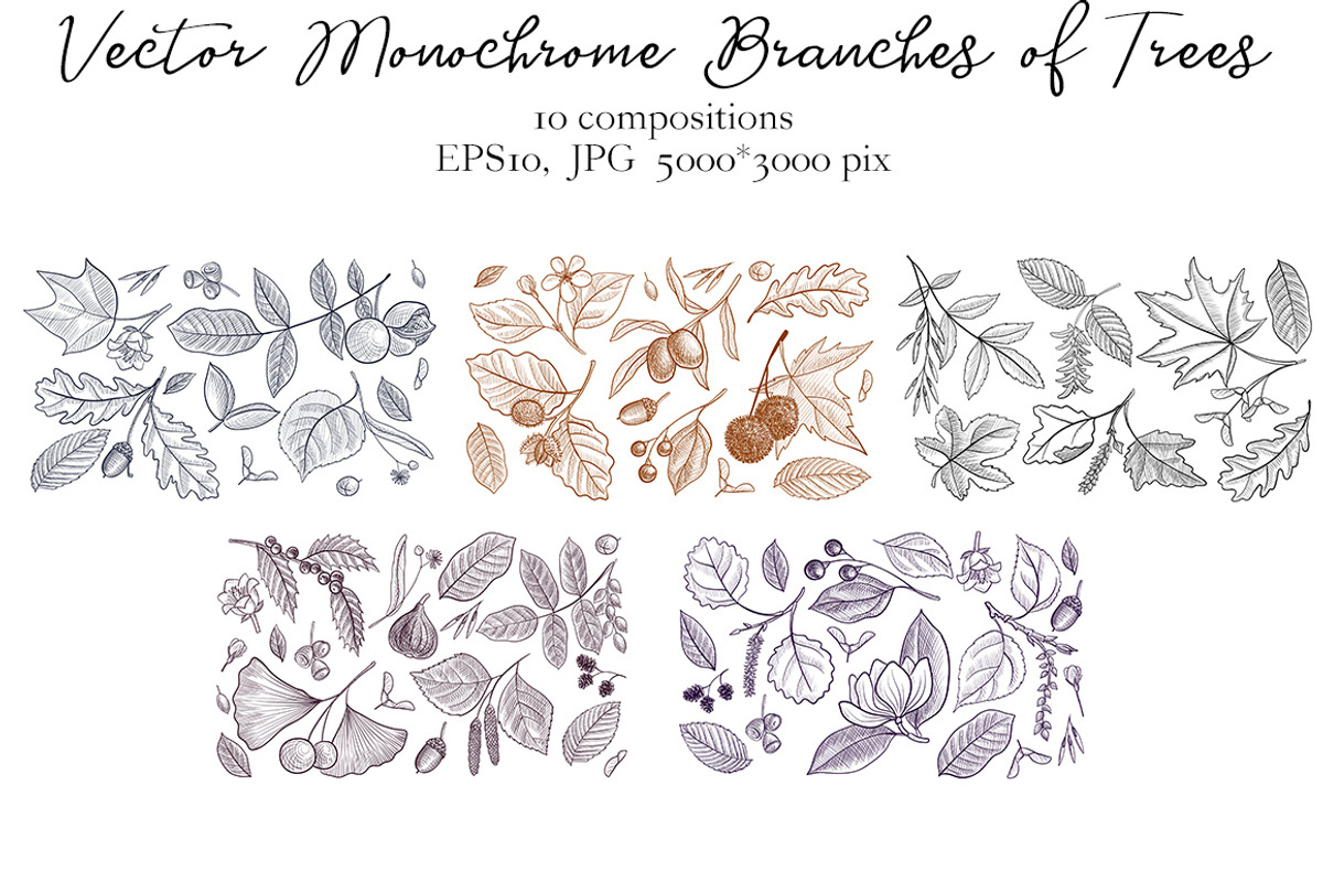 Vector Monochrome Branches of Trees, an Illustration by cat_arch_angel (Photo 9 of 12)