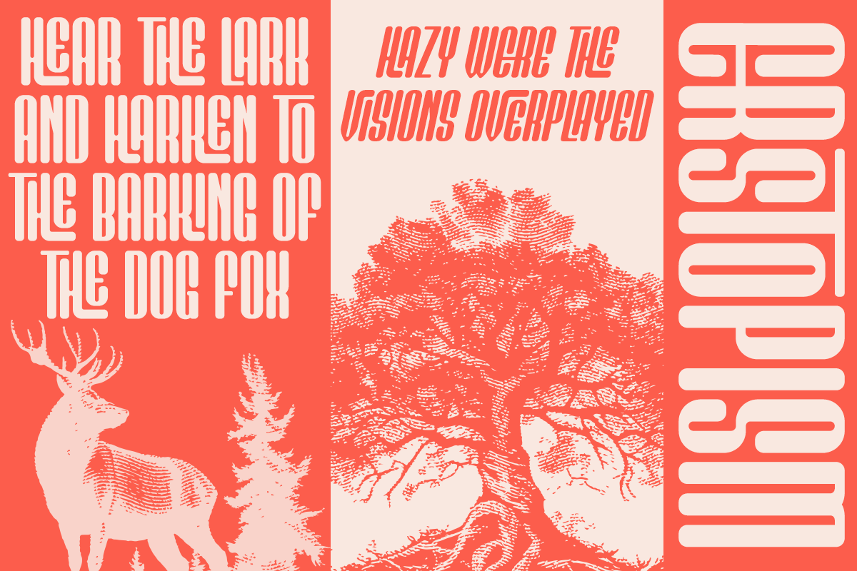 Kathalog - Condensed Sans Font, a Sans Serif Font by Say Studio (Photo 8 of 13)