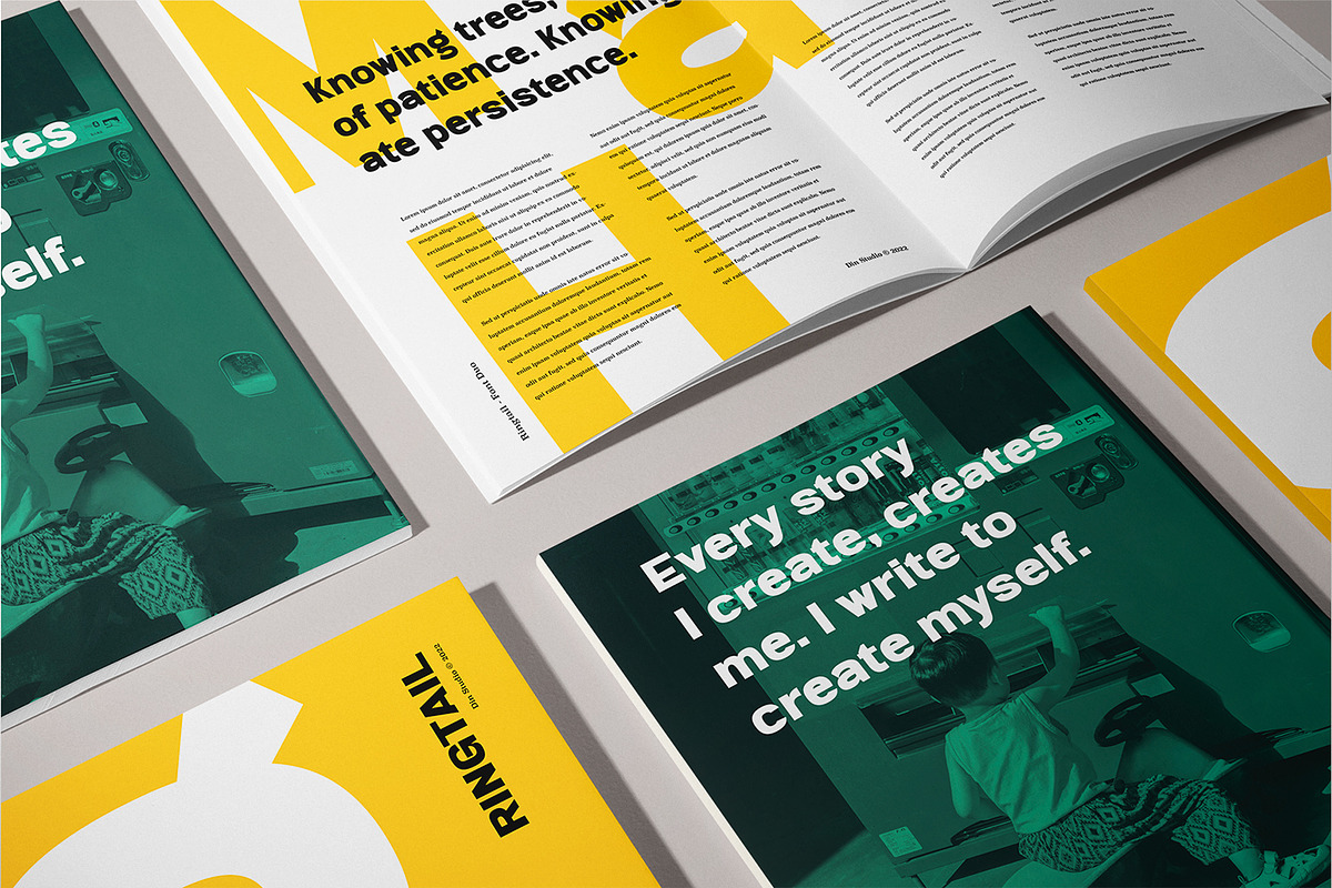 Ringtail, a Sans Serif Font by din-studio.com (Photo 4 of 10)