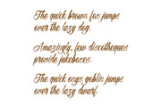 El Guapo, a Script Font by Loudoun Design Co. (Thumbnail 6 of 7)
