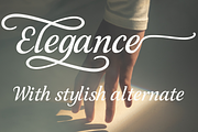 Elegancy font duo, a Script Font by cocodesign (Thumbnail 3 of 9)