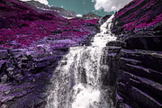 454 Infrared Fantasy Pro LUTs, a Preset Add-On by ShutterPro (Thumbnail 20 of 48)