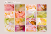 Blurred Dreamy Gradient Backgrounds, a Background Graphic by eclosque (Thumbnail 32 of 37)
