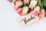 Birthday | Script Font, a Script Font by Scratchones (Thumbnail 2 of 6)