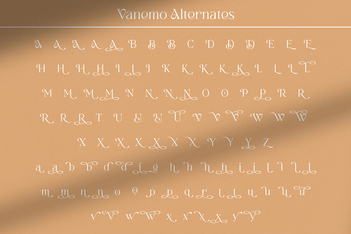 Vanemo Modern Serif Typeface, a Font by Shiningtown Creative (Photo 12 of 15)