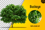 CUT OUT TREES - 60 PCS BUNDLE, a Packaging Mockup by 3DSTORE (Thumbnail 17 of 63)