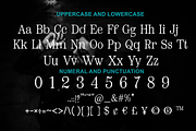 Gorogoro-Serif font, a Serif Font by portype (Thumbnail 2 of 5)