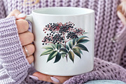 Medicinal Plants Clipart PNG Bundle, an Illustration by DreamCafeArt (Thumbnail 7 of 9)