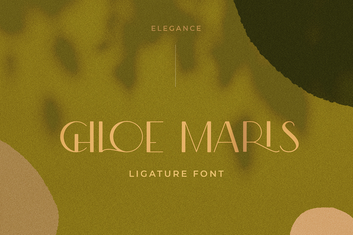 Modern Ligature Sans Serif Font, a Sans Serif Font by Laras Wonderland (Photo 11 of 17)
