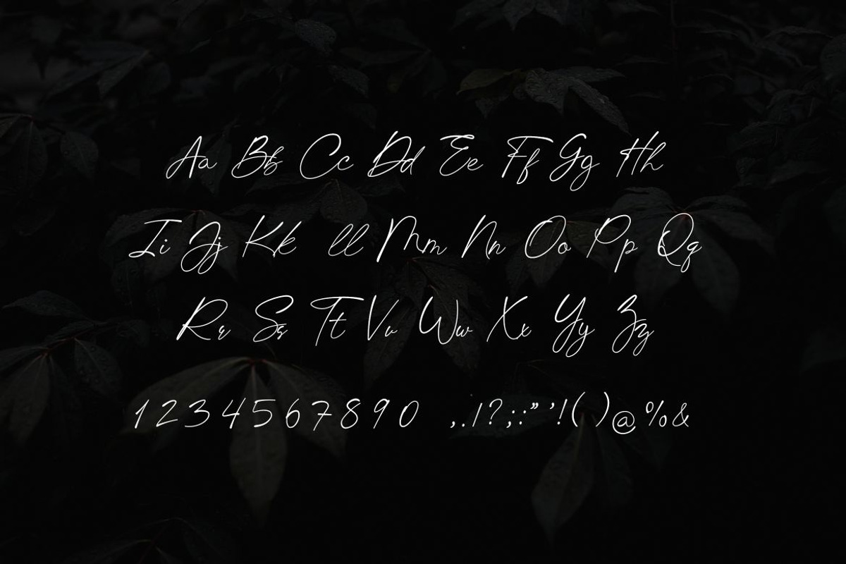 Chick Budapest Signature Font, a Handwritten Font by UICreative (Photo 5 of 5)