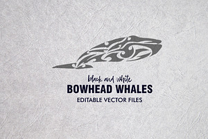 20 Whale Tribal Designs Bundle