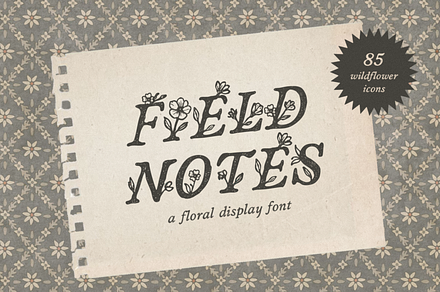 Field Notes, a Symbol Font by Bruised Goods