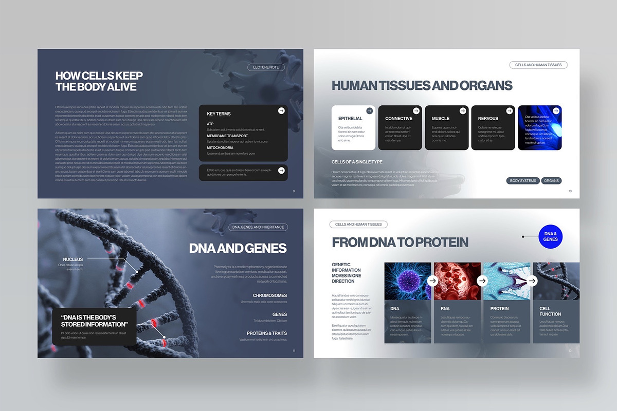 Biology Class Presentation Template, a Presentation Template by BrandPacks (Photo 4 of 7)