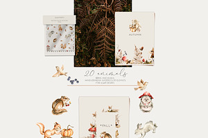 Autumn Woodland Forest Fall Animals