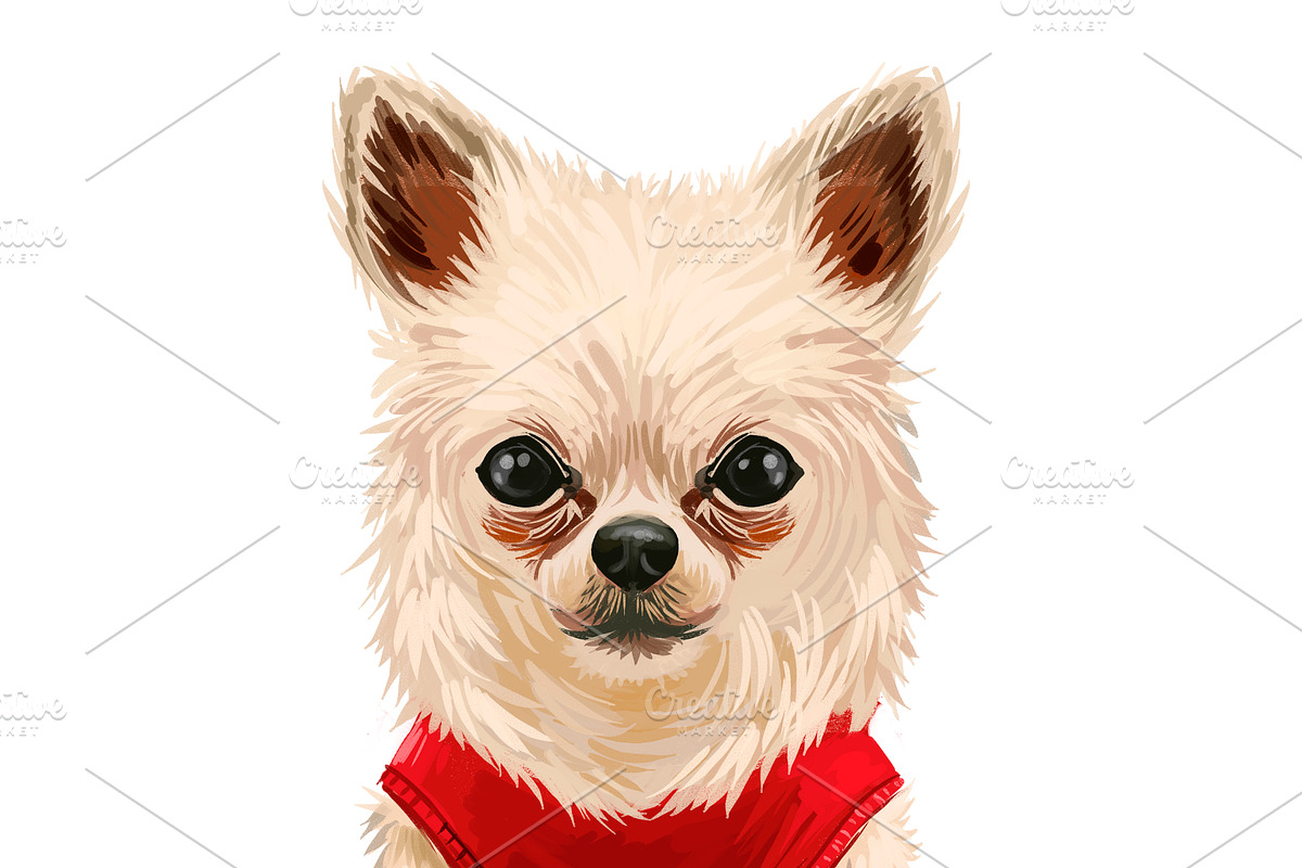 Puppies Dog Breeds Big Bundle 135Pcs, an Animal Illustration by Dneprstock (Photo 8 of 68)