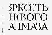TT Tsars, a Serif Font by TypeType (Thumbnail 4 of 10)