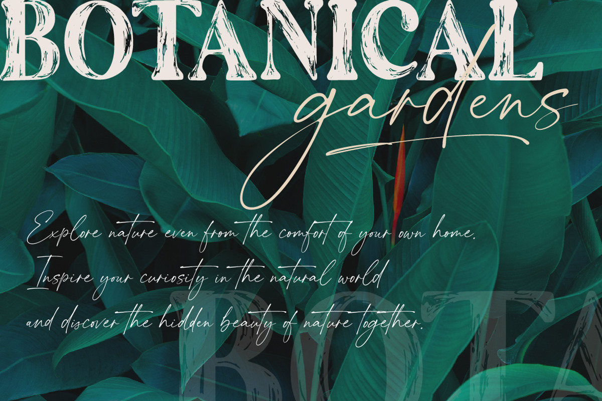 The Artisan | A Hand Drawn Font Duo, a Serif Font by Ef Studio (Photo 8 of 17)
