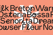 Norte, a Sans Serif Font by vuuuds (Thumbnail 9 of 13)