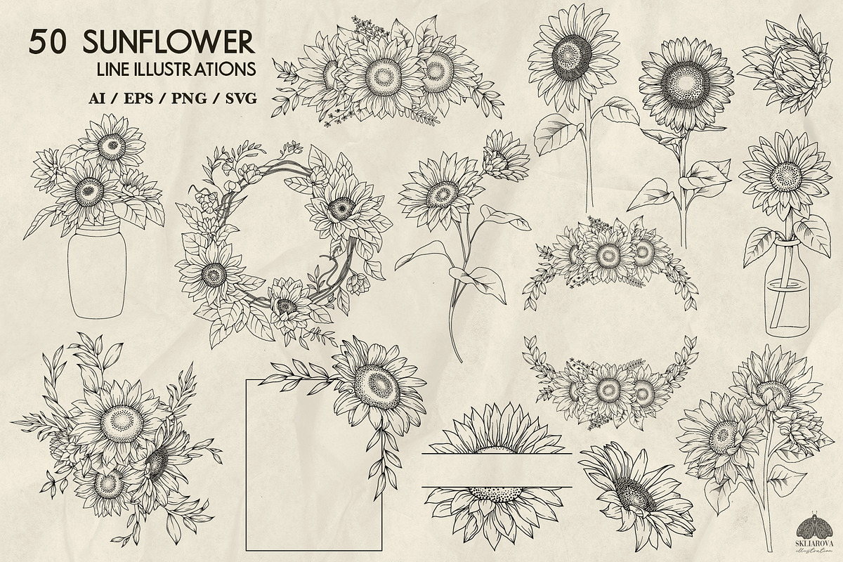 Sunflowers line art + Procreate, a Decorative Illustration by Skliarova (Photo 5 of 5)