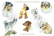 Watercolor dogs. Different Breeds, an Animal Illustration by Budogoshch (Thumbnail 2 of 6)