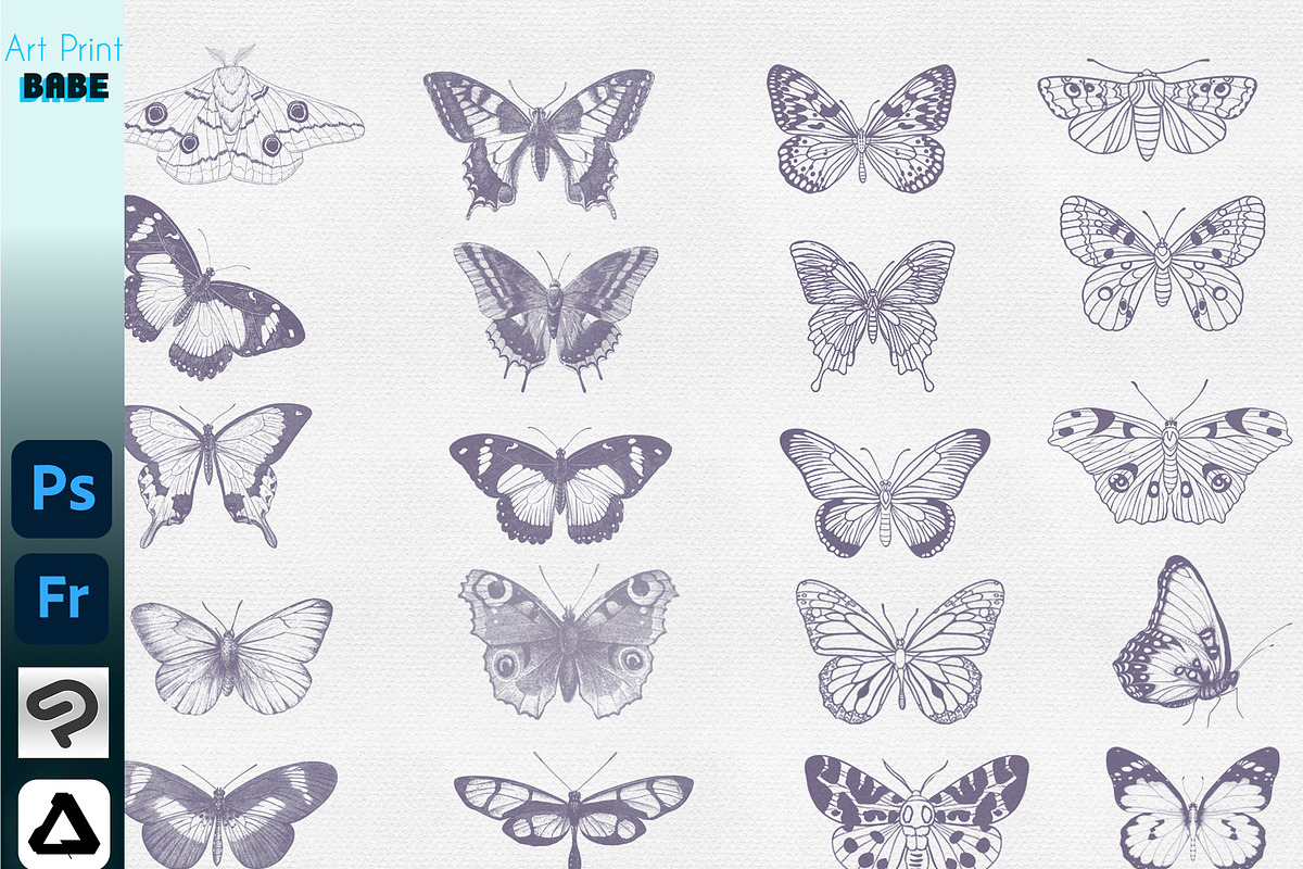 Photoshop Butterfly Stamp ClipStudio, a Brush Add-On by ArtPrintBabe (Photo 3 of 6)