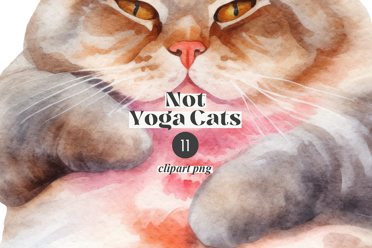 Not Yoga Cats, an Animal Illustration by TheCuteShop (Photo 12 of 17)