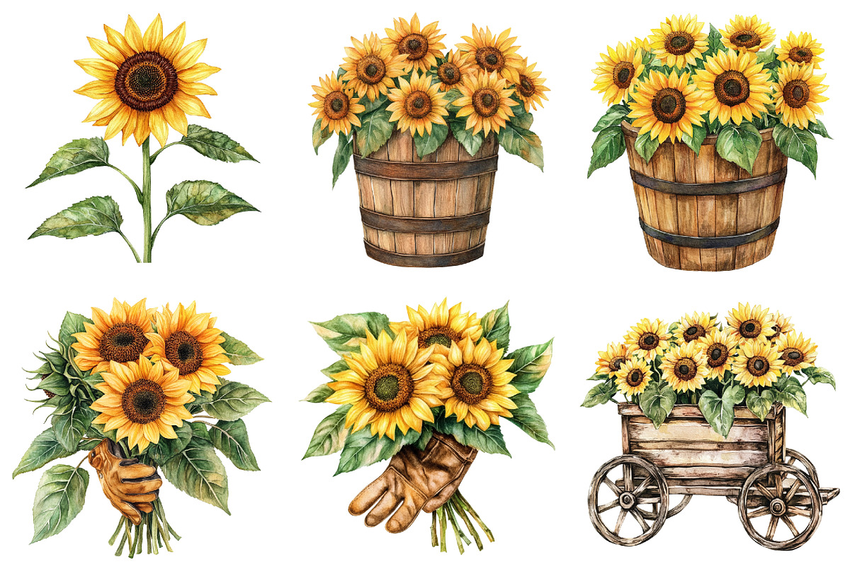 Sunflower Farm Clipart, a Seasonal Illustration by CitraGraphics (Photo 3 of 7)