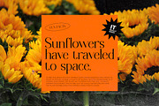 Chanley - Modern Font Serif, a Serif Font by Flawless And Co (Thumbnail 9 of 10)