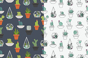 Vector illustration cactus, an Object Graphic by BSVIT (Thumbnail 4 of 4)
