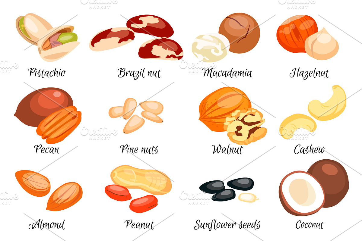 Nuts set., an Object Graphic by itiir