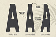 LUNAR PALMS Font, a Font by Cameron Humphries (Thumbnail 5 of 7)