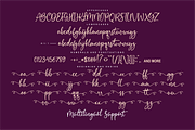 Heart Breath a Beautiful Script Font, a Script Font by Vilogsign (Thumbnail 7 of 9)