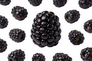 All Fruits Bundle Master Collection, a Food & Drink Photo by FlyeredTemplate (Thumbnail 29 of 130)