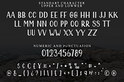 Paper line, a Script Font by FreshTypeINK (Thumbnail 8 of 8)