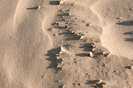 Beach sand, a Photo by Peopleimages.com