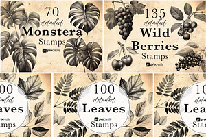 2000 Botanical Lover Stamp Brushes