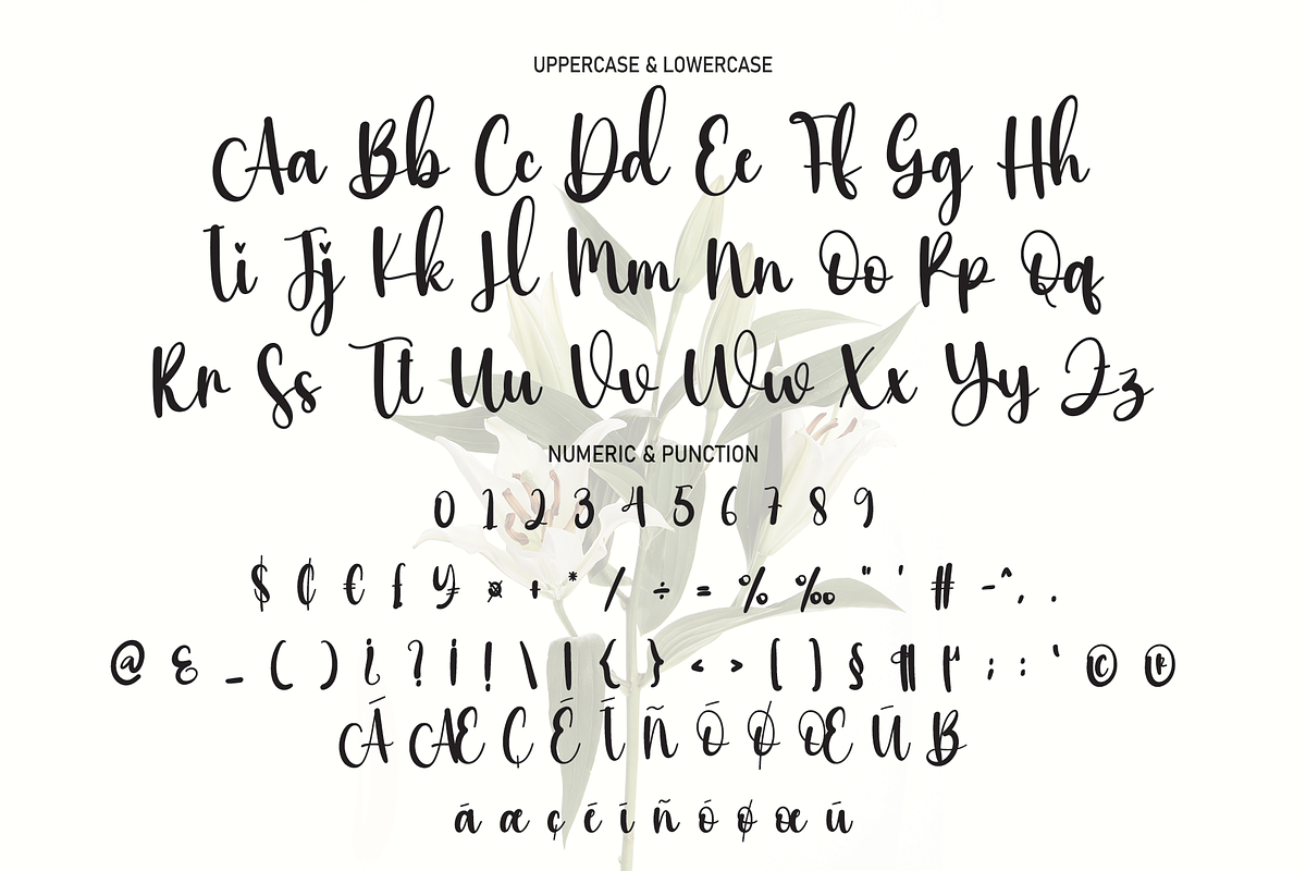 the flowers | Script Font, a Script Font by Scratchones (Photo 3 of 8)