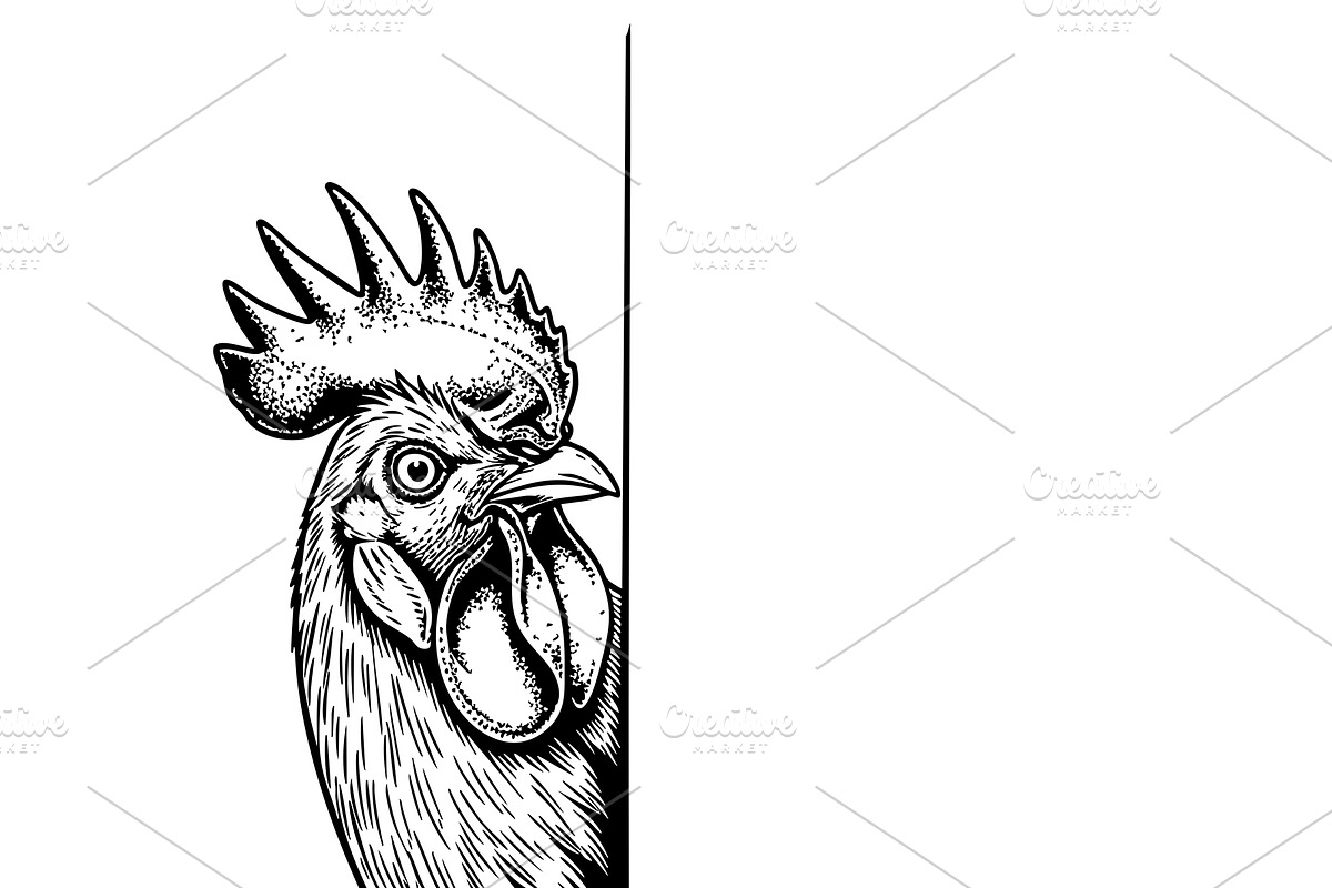 Vector of a curious rooster peeking., an Animal Illustration by yod67